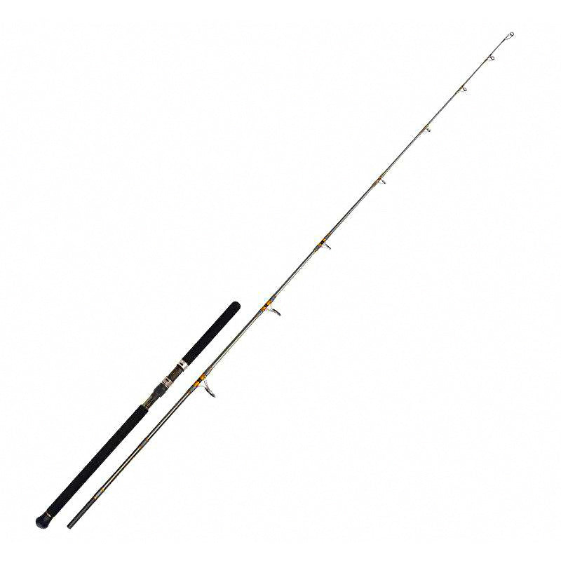 Heavy Boat Popping Rod, 2-Piece 8 ft 4 in (2.55 m), 180 g Lure