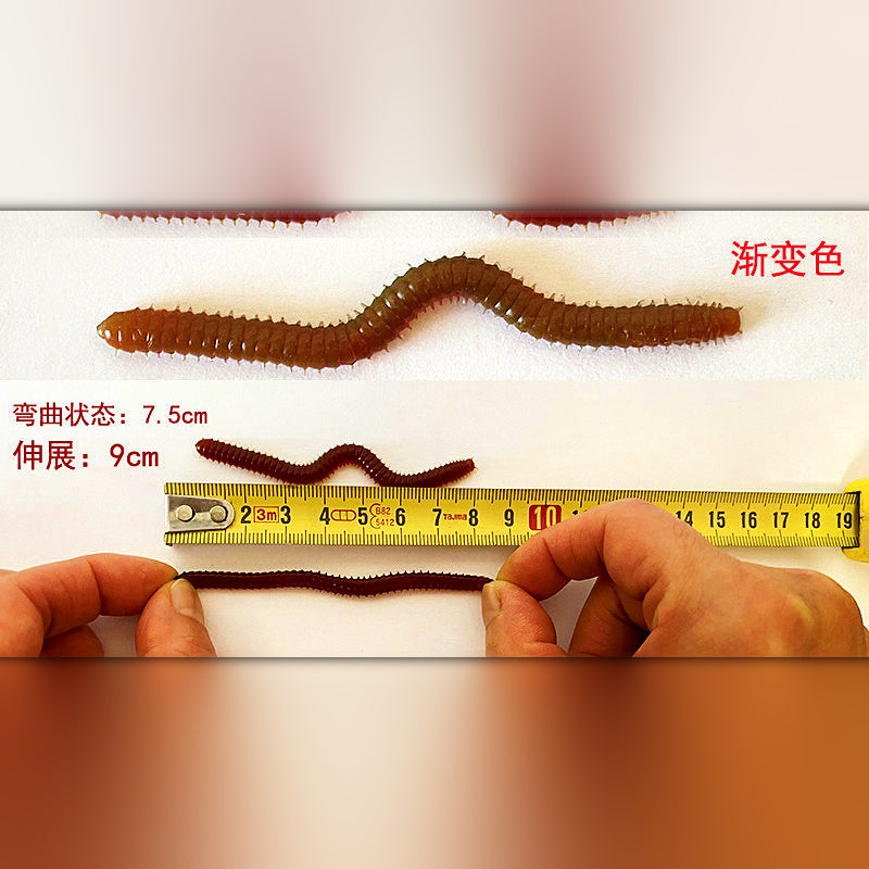 Soft Plastic Sandworm, Earthworm & Curly Tail Lures + 6 Hooks