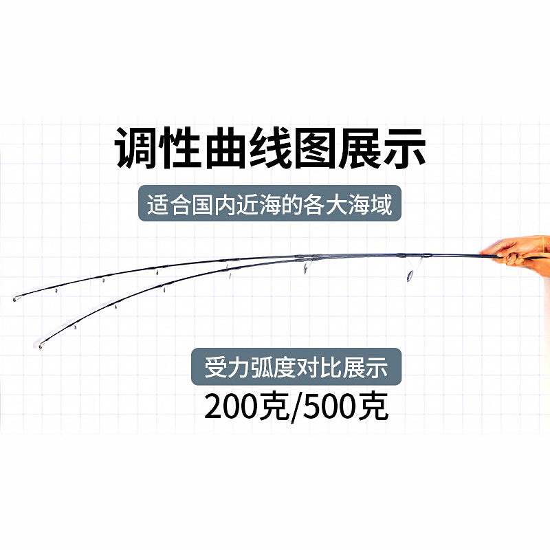 Shore Casting Rod, Metal Jig & Pencil Lures, 2.43–2.58 m