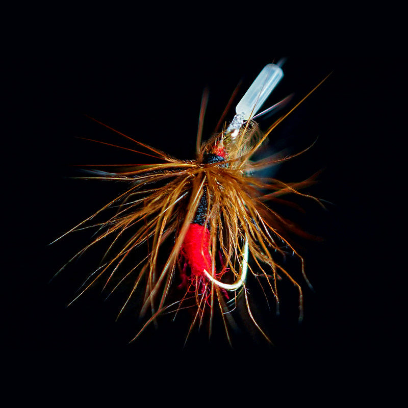 Fly Hook Flies, 5-Pack, Size 14–18, Pattern Options