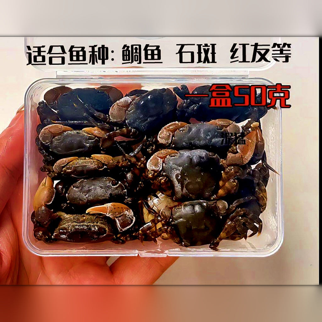 Crab Fishing Bait for Saltwater, 50 g or 100 g (1.8 or 3.5 oz)