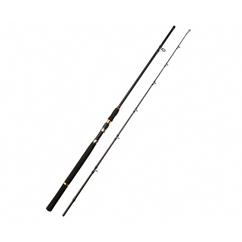 Heavy Carbon Boat Rod, Spinning or Casting, 5.9–9.8 ft