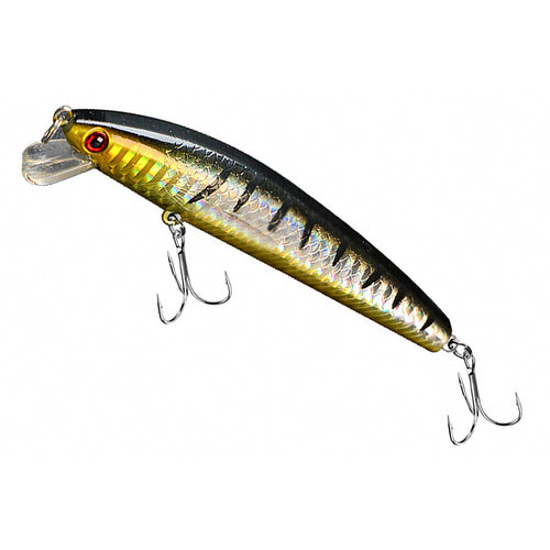 Floating Minnow Lure with Rattle, 10 cm / 9 g (3.9 in / 0.32 oz)