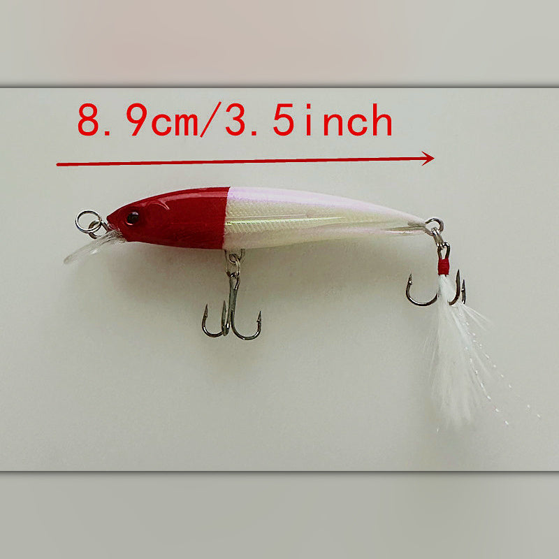Floating Minnow Lure, 8.9 cm (3.5 in), 6.9 g (0.24 oz)