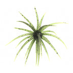 Floating Sea Urchin Soft Lure, 4–11 cm (1.6–4.3 in)