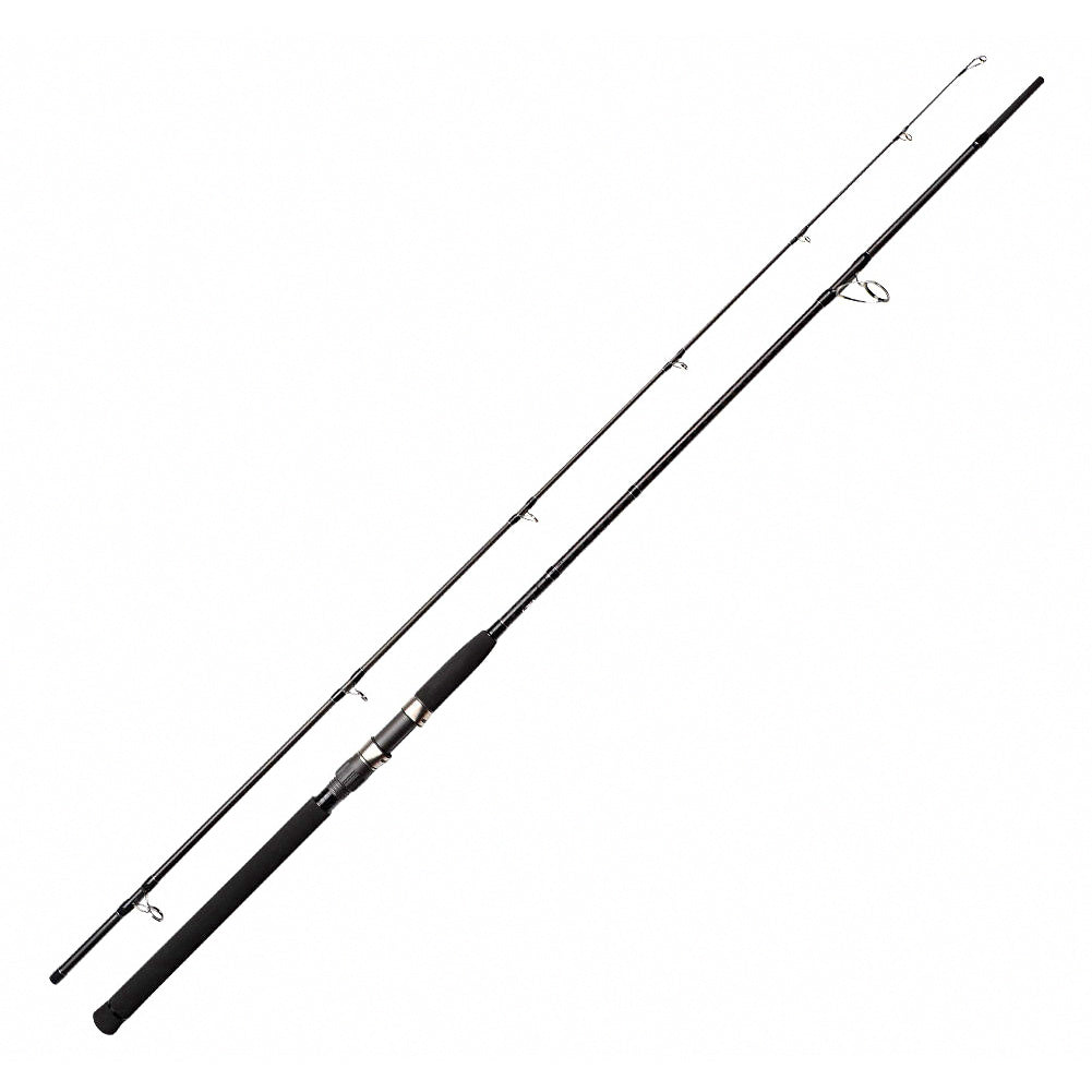 Saltwater Jig & Pencil Casting Rod, 2-Piece Carbon, 9–10 ft