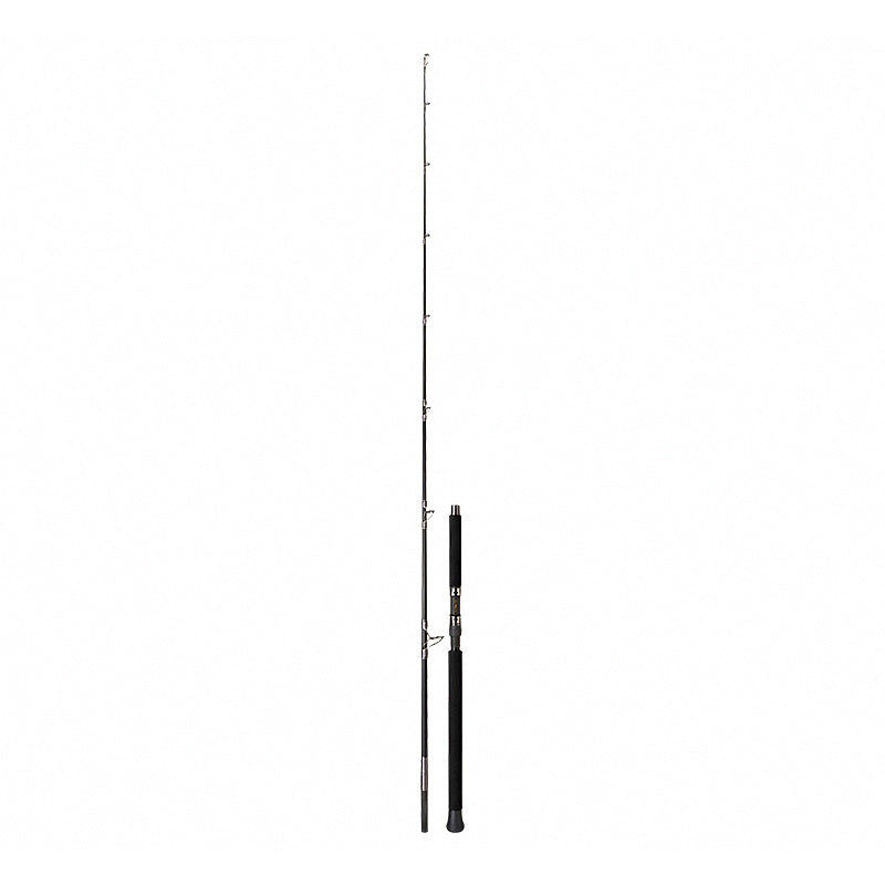 Saltwater Boat Jigging & Casting Rod, 1.5-Piece Carbon