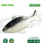 Realistic Soft Swimbait, 2.5 & 3.5 in, Slow Sinking – option photo