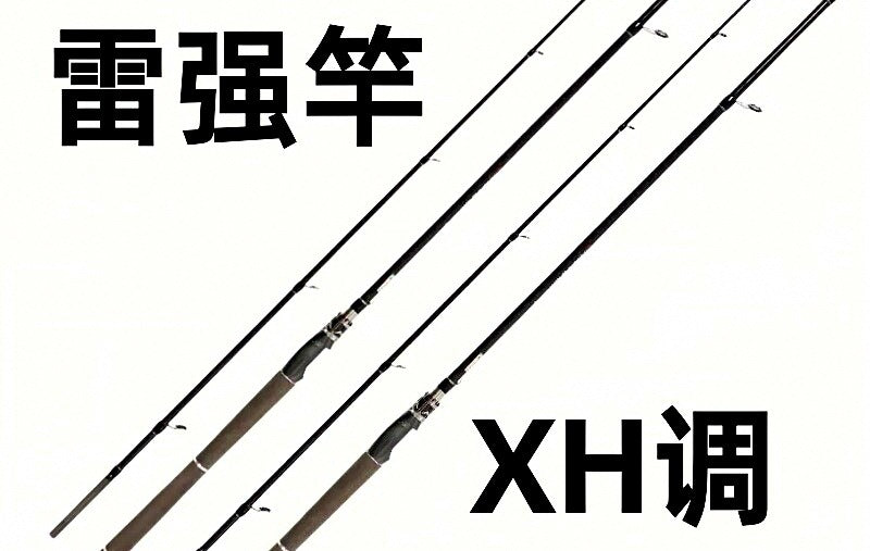 Extra Heavy Carbon Lure Rod, 2-Piece, 2.1–2.4 m (6.9–7.9 ft) – option photo