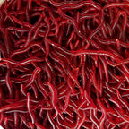 Red Earthworm Soft Bait, 50 or 100 Pack – option photo