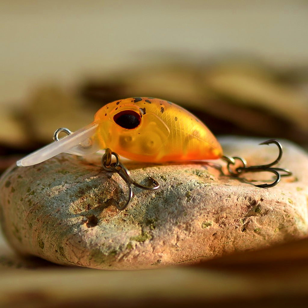 Mini Square Lip Minnow, 2.5 cm (1 in) 2 g (0.07 oz) – option photo