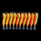Wooden Shrimp Squid Jig, Size 3.5, 10-Pack – option photo