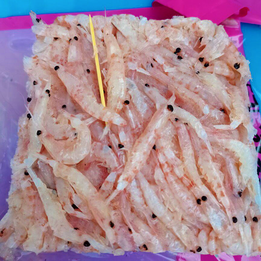 Antarctic Krill Chum Brick for Saltwater Fishing – option photo