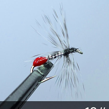 Blood Ant Fly Lure, Stream Fly Hook, Sizes 12-18 – option photo