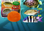 Black Bream Dough Bait, Ready-to-Use Kneadable Paste – option photo