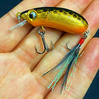 Fat Minnow Hard Bait Lure, Single or Treble Hook – option photo