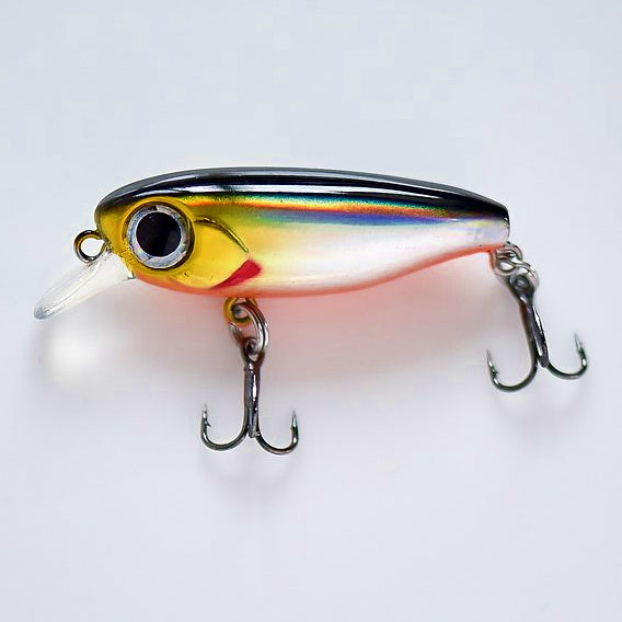 Micro Minnow Lure, 38 mm (1.5 in), 2.7 g (0.095 oz) – option photo
