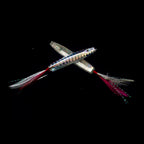 Surface Feather Trolling Lure 2-Pack, 5–6.3 cm (2–2.5 in) – option photo