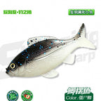 Realistic Soft Swimbait, 2.5 & 3.5 in, Slow Sinking – option photo